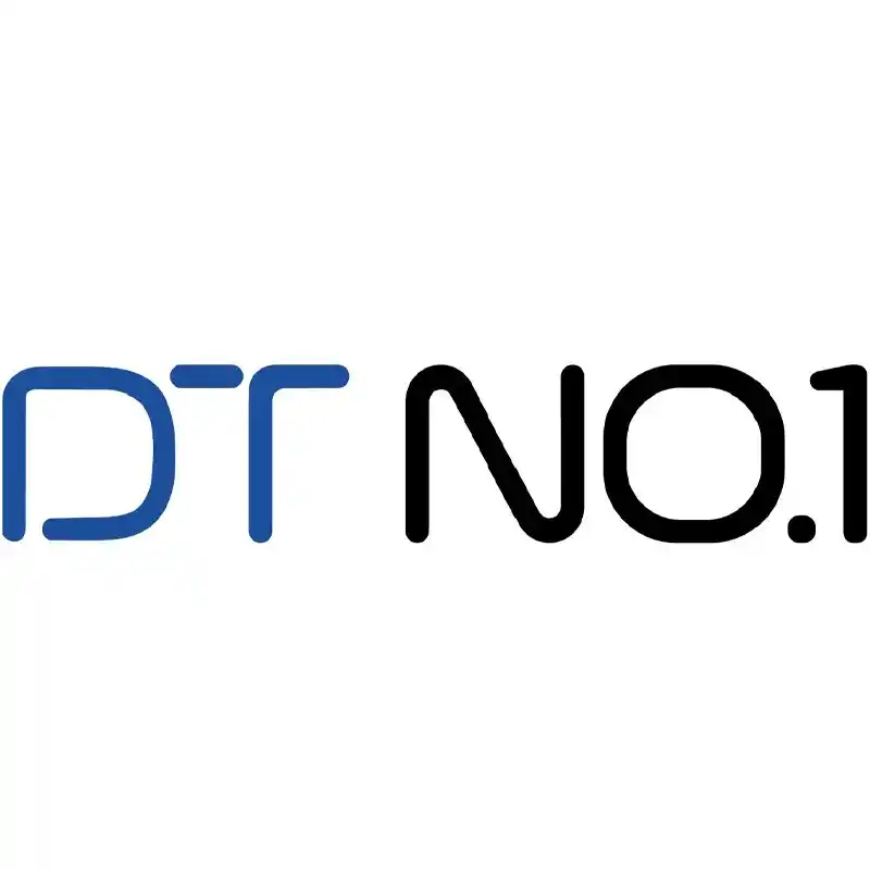 1736267653DT NO.1 LOGO.webp